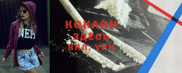 тгк Алексин