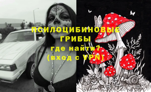 гашик Алзамай