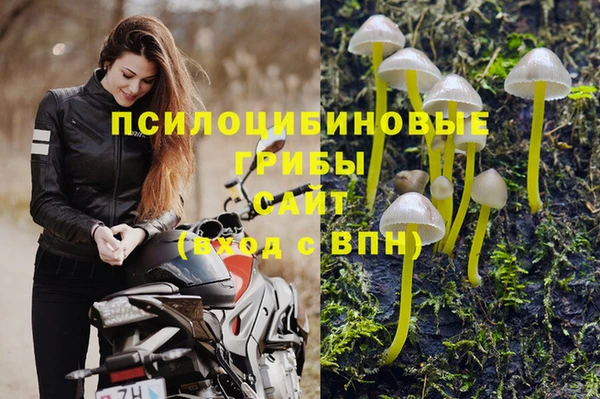 тгк Алексин