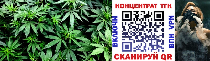 ТГК Wax  Слободской 