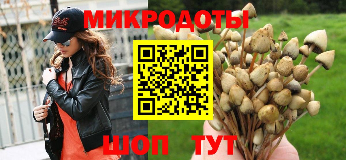 Слободской  Галлюциногенные грибы MAGIC MUSHROOMS  Вход с VPN  Галлюциногенные грибы GOLDEN TEACHER 